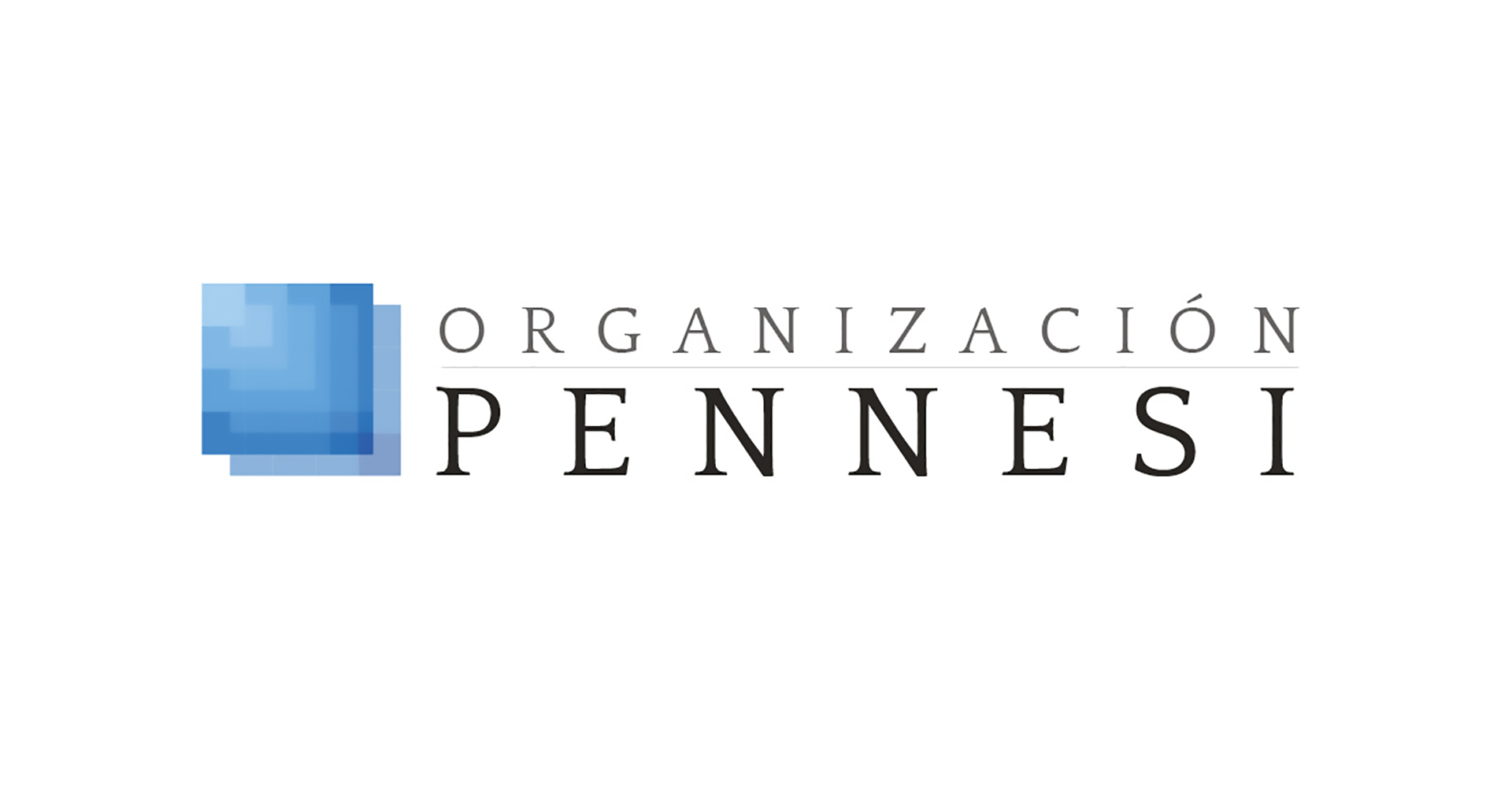 Branding / Logo Organización Pennesi