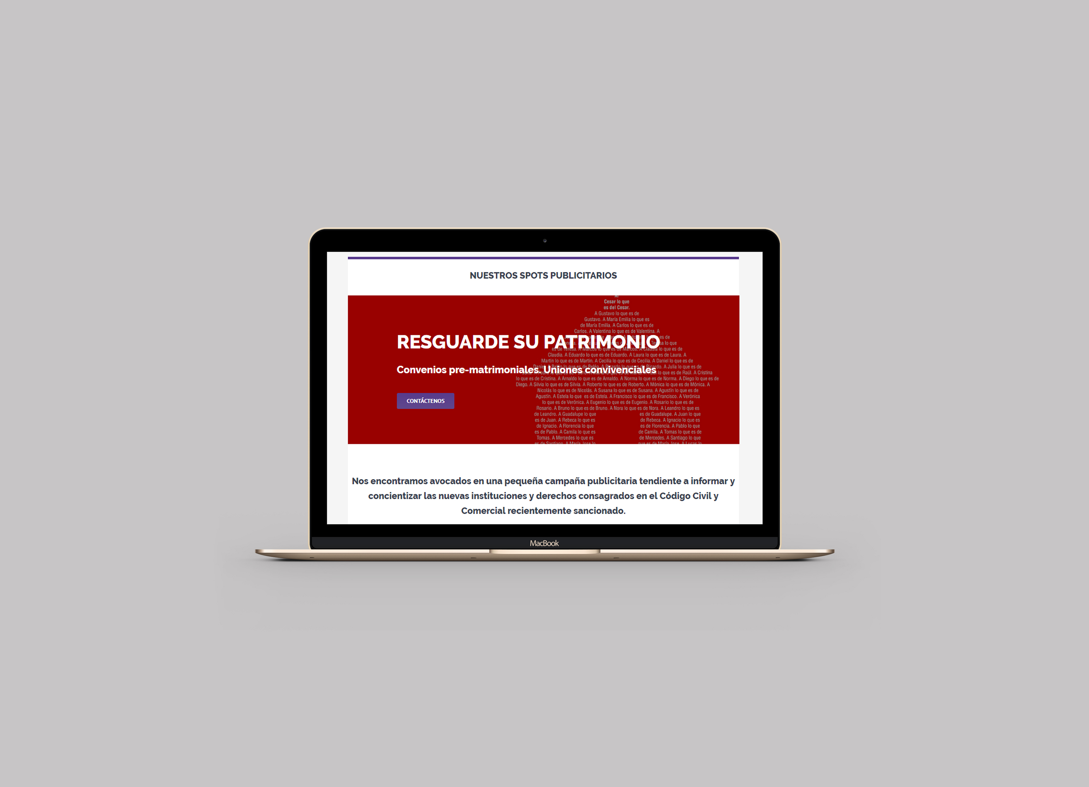 Mockup web Mendoza Law